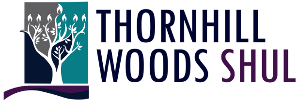 THWS LOGO